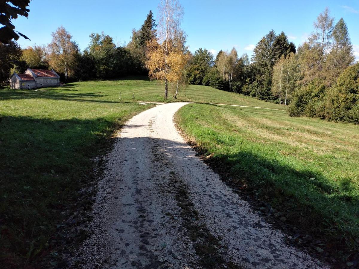 Вилла Al Salt Беллуно Экстерьер фото